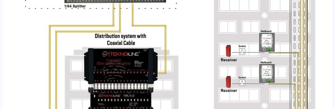 WhatsApp Image 2026-02-13 at 12.00.14 AM